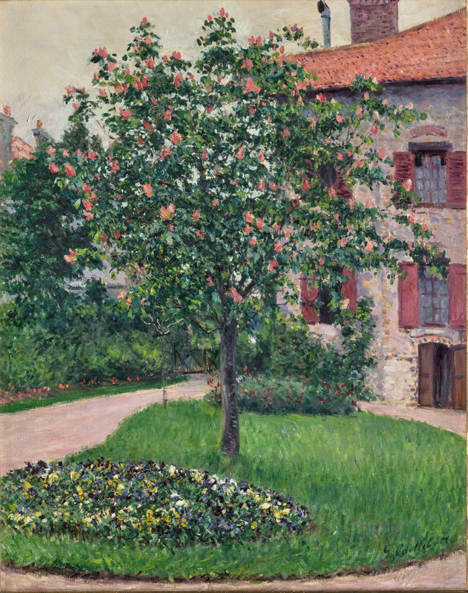 Arbre en fleurs