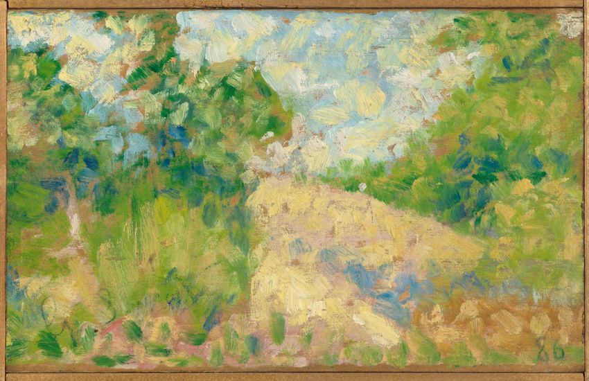 Paysage rose